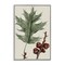 Stupell Industries Vintage Black Oak Leaf Framed Giclee Wall Art Design by Graffi*tee Studios